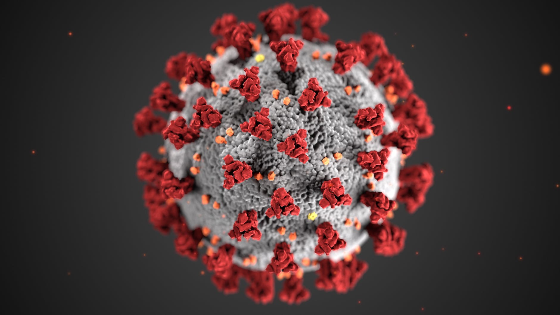 structure of a coronavirus